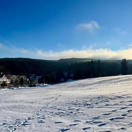 Unique Flat Vogtland-Panorama By Respect Host *