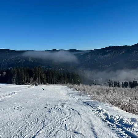 アパート Unique Flat Vogtland-Panorama By Respect Host