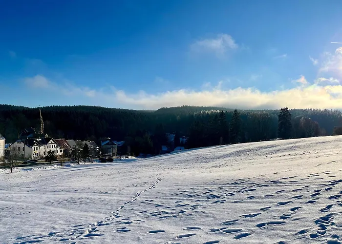 Unique Flat Vogtland-Panorama By Respect Host *