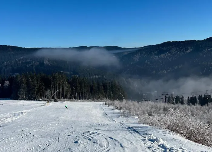 Apartament Unique Flat Vogtland-Panorama By Respect Host