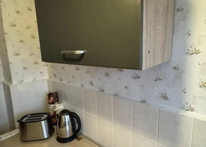 Apartament Unique Flat Vogtland-Panorama By Respect Host Muldenhammer